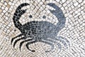 Mosaic crabe Royalty Free Stock Photo