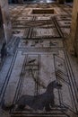 Mosaic decorating the floor of the House of the Cryptoporticusat Pompeii, Italy Royalty Free Stock Photo