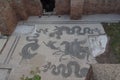 Mosaic floor in the Baths of Neptune, Ostia Antica, Province of Rome, Lazio, Italy