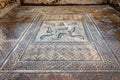 Mosaic floor with dolphins at in the ruins of an Ancient Roman City in Volubilis, Morocco