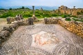 Mosaic floor in old roman city of Volubilis near Moulay Idriss and Meknes