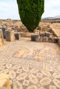 Mosaic floor at the ruins of Volubilis, ancient Roman city in Morocco Royalty Free Stock Photo