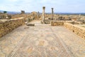 Mosaic floor at the ruins of Volubilis, ancient Roman city in Morocco