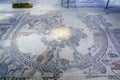 Mosaic floor in the Synagogue, Tzipori Sepphoris National Park Royalty Free Stock Photo