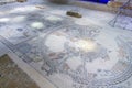 Mosaic floor in the Synagogue, Tzipori Sepphoris National Park Royalty Free Stock Photo