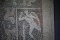 The Hunter Mosaic Floor Royalty Free Stock Photo