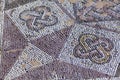 Mosaic floors of elite romans villas