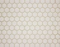 Mosaic in the form of honeycombs white ceramic