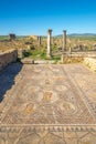 Mosaic of the Four Seasons in the House of the Labours of Hercules in Volubilis ,Morocco Royalty Free Stock Photo