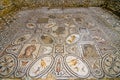 Mosaic of The Heracles twelve labors at Roman ruins of Volubilis near Meknes, Morocco, Africa