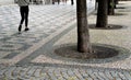 city Ã¢â¬â¹Ã¢â¬â¹street promenade mosaic cobblestone paving marble forming shapes alley linden in steel bars people walking on sidewalk