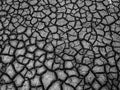 Dried Mud Patterns Royalty Free Stock Photo