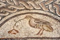 Mosaic in national park Zippori (Tsipori). Israel Royalty Free Stock Photo