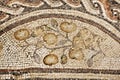 Mosaic in national park Zippori (Tsipori). Israel Royalty Free Stock Photo