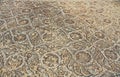 Mosaic Tile Floor Along the Curetes Road in Ephesus, Turkey