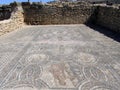 mosaic, volubilis, marocco