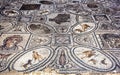 A mosaic at Volubilis in Morocco inside the House of the Labours of Hercules. The mosaic dates from the 1st century AD. Royalty Free Stock Photo