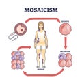 Mosaicism as medical genetic condition with cellular defect outline diagram Royalty Free Stock Photo