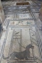 Pompeii, Italy: mosaic `cave canem` Royalty Free Stock Photo