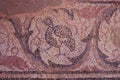 Mosaics in the ruins of early Byzantine basilica in Ohrid Royalty Free Stock Photo