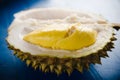 Mosang King Durian Fruit