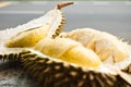 Mosang King Durian Fruit