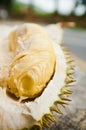 Mosang King Durian Fruit