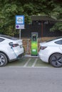 Moscenicka Draga, Croatia - August, 11, 2022 : Two white Tesla cars charging at EV charging station or electric vehicle supply