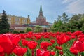 Moscow, Alexander Garden, landscape with blooming flowers and view at tower of Moscow Kremlin Royalty Free Stock Photo