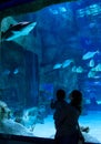 Family looks at big shark in beautiful blue aquarium Royalty Free Stock Photo