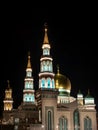 Moscow Cathedral Mosque. Night Photography.