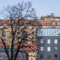 Moscow cityscape with renovated old buildings and bare tree in downtown in winter season