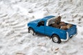 Moscow. December 2018. Blue toy Pickup truck Ford F350 in snow forest. Carrying fir cones. Winter road Royalty Free Stock Photo