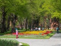 Moscow Grand Kremlin garden