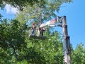 MOSCOW, JUL, 29, 2018: View on workers at elevator crane machine People at work - trees lopping process. Trees cut city service