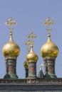 Moscow Kremlin - Churches, Spass Tower Royalty Free Stock Photo