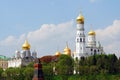 Moscow Kremlin landmarks surrounded by green grees.