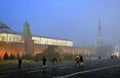 Moscow Kremlin and Red Square at snowstorm. Royalty Free Stock Photo