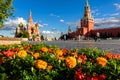 Moscow Kremlin and St Basil`s cathedral on Red Square, Russia. Scenery of central Moscow city, focus on flowers