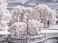 Moscow. Manezhnaya Square and Alexander Garden. Infrared photo