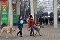 Saint Patrick`s Day celebration in Moscow. Men and women in carnival costumes