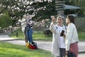 People in Japanese city park adore first blooming sakura tree.