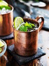 Moscow mule cocktail in copper mug Royalty Free Stock Photo