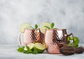 Moscow mule cocktail in a copper mug with lime and mint and wooden squeezer on light background Royalty Free Stock Photo