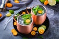 Moscow mule cocktail with lime, mint, cucumber and kumquat Royalty Free Stock Photo