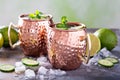 Moscow mule cocktail with lime and cucumber Royalty Free Stock Photo