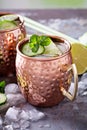 Moscow mule cocktail with lime and cucumber Royalty Free Stock Photo
