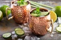 Moscow mule cocktail with lime and cucumber Royalty Free Stock Photo