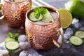 Moscow mule cocktail with lime and cucumber Royalty Free Stock Photo