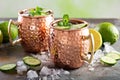 Moscow mule cocktail with lime and cucumber Royalty Free Stock Photo